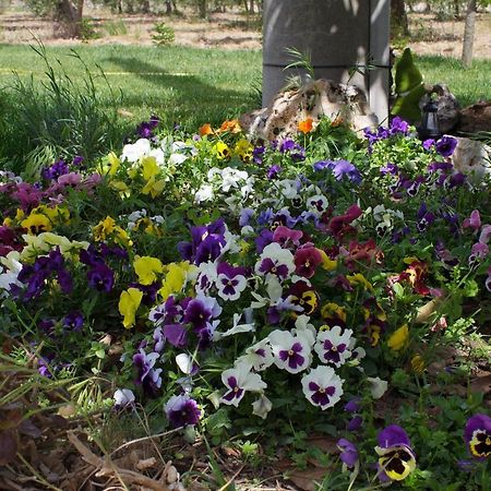 Trullo Del Cavaliere Delle Gravine Βίλα Καστελανέτα Εξωτερικό φωτογραφία