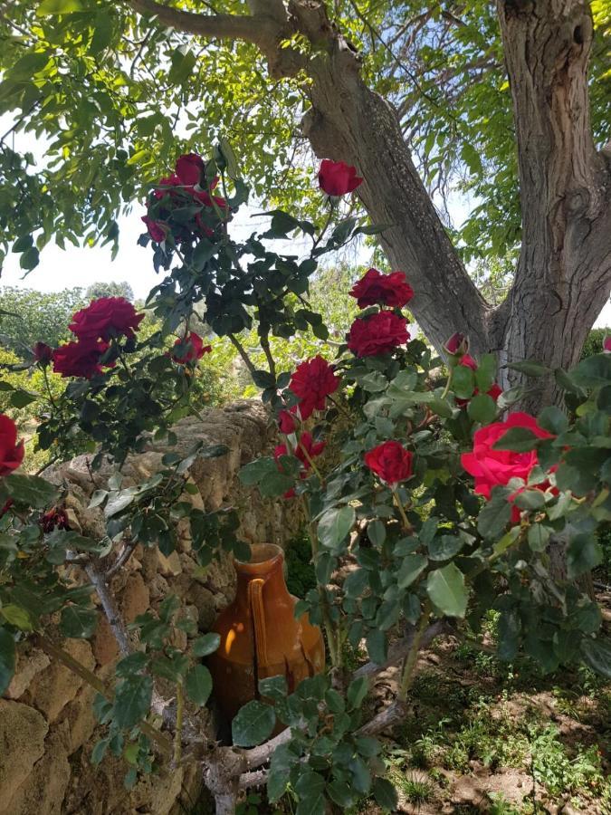 Trullo Del Cavaliere Delle Gravine Βίλα Καστελανέτα Εξωτερικό φωτογραφία