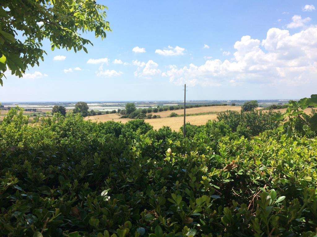 Trullo Del Cavaliere Delle Gravine Βίλα Καστελανέτα Εξωτερικό φωτογραφία